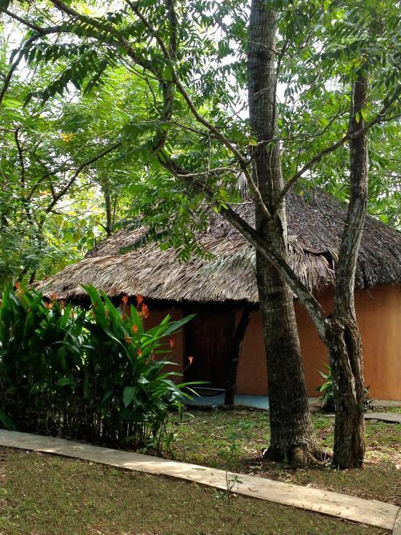 Villa El Colombre Palenque Exterior foto